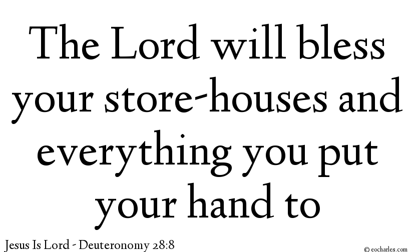 The Lord Blesses Everything You Put Your Hand To