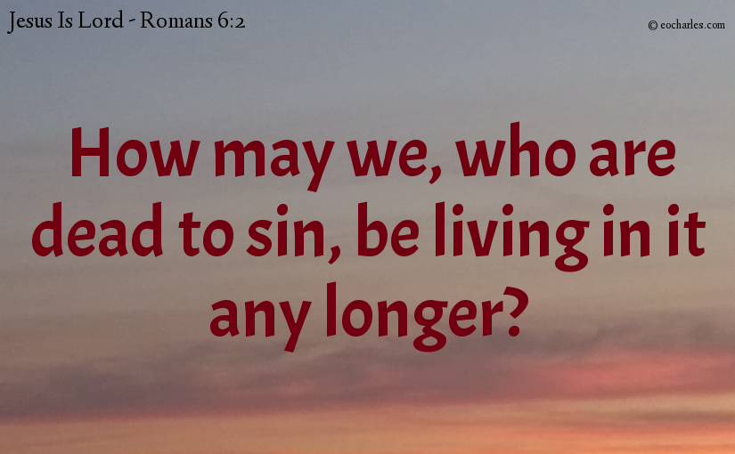 How may we, who are dead to sin, be living in it any longer?