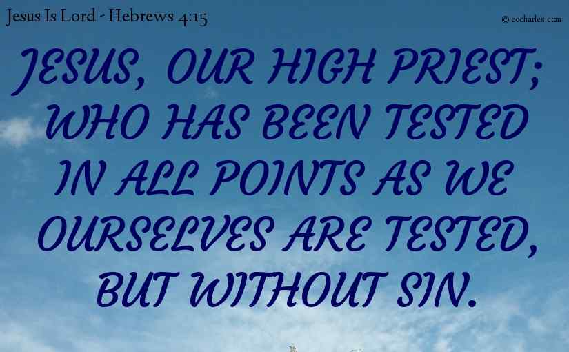 Jesus, our high priest; who has been tested in all points as we ourselves are tested, but without sin.