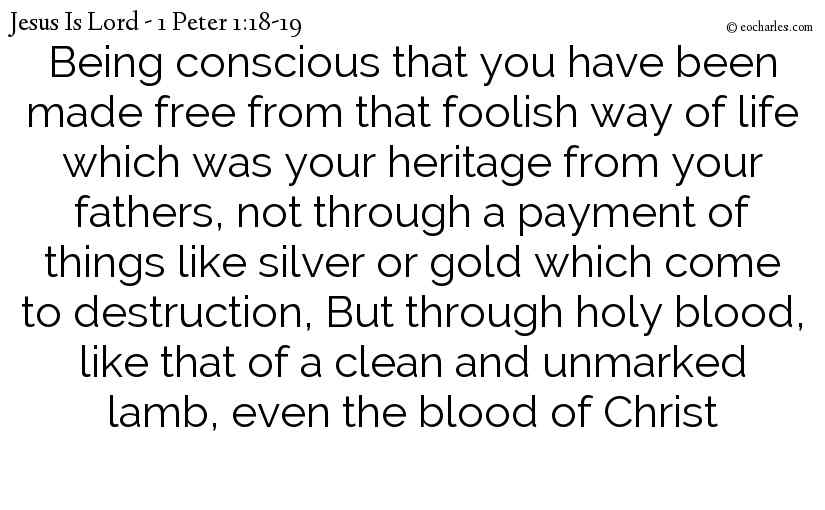Being conscious that you have been made free from that foolish way of life which was your heritage from your fathers, not through a payment of things like silver or gold which come to destruction, But through holy blood, like that of a clean and unmarked lamb, even the blood of Christ