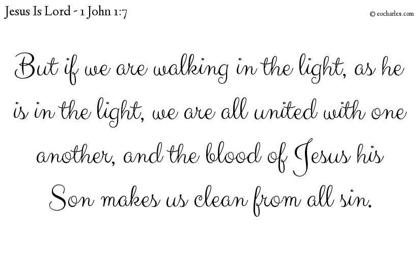 But if we are walking in the light, as he is in the light, we are all united with one another, and the blood of Jesus his Son makes us clean from all sin.