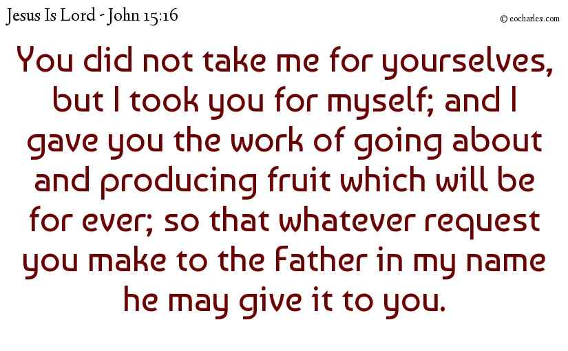 You did not take me for yourselves, but I took you for myself; and I gave you the work of going about and producing fruit which will be for ever; so that whatever request you make to the Father in my name he may give it to you.