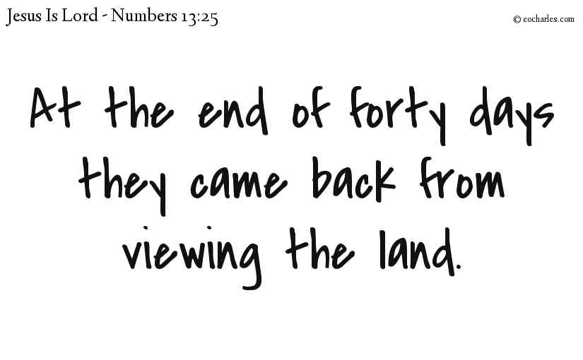 At the end of forty days they came back from viewing the land.