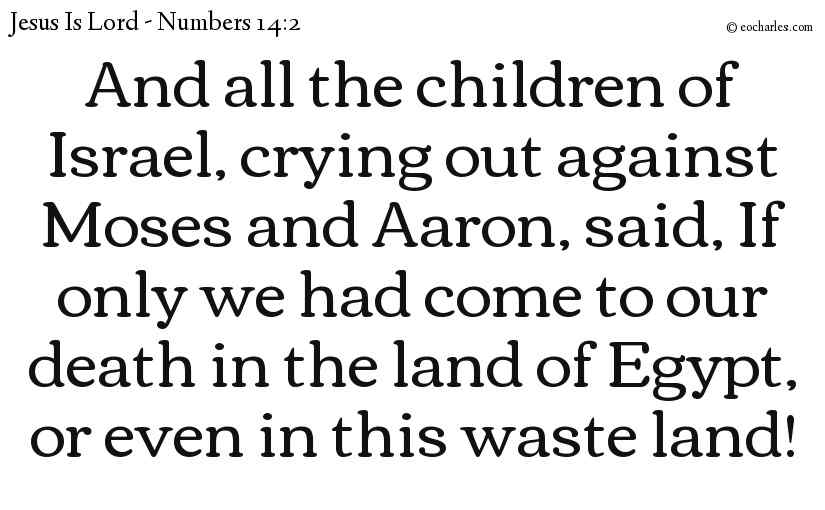 And all the children of Israel, crying out against Moses and Aaron, said, If only we had come to our death in the land of Egypt, or even in this waste land!