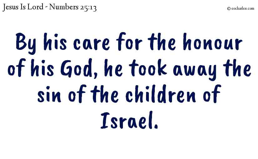 By his care for the honour of his God, he took away the sin of the children of Israel.
