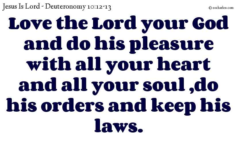 Love the Lord your God and do his pleasure with all your heart and all your soul ,do his orders and keep his laws.