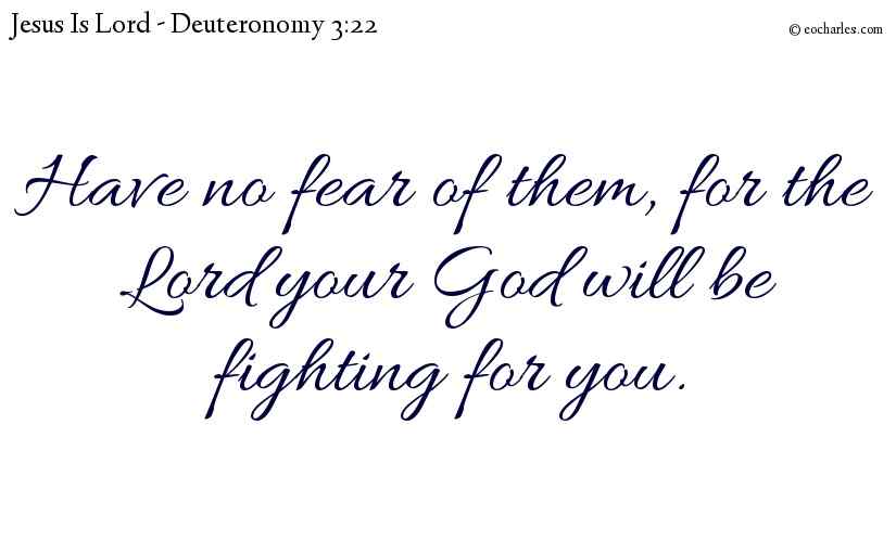 Have no fear of them, for the Lord your God will be fighting for you.