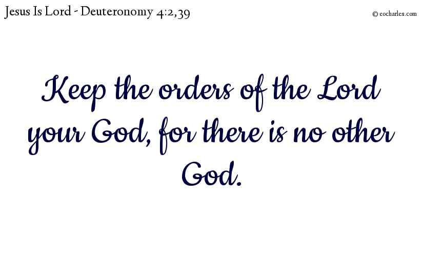 Keep the orders of the Lord your God, for there is no other God.