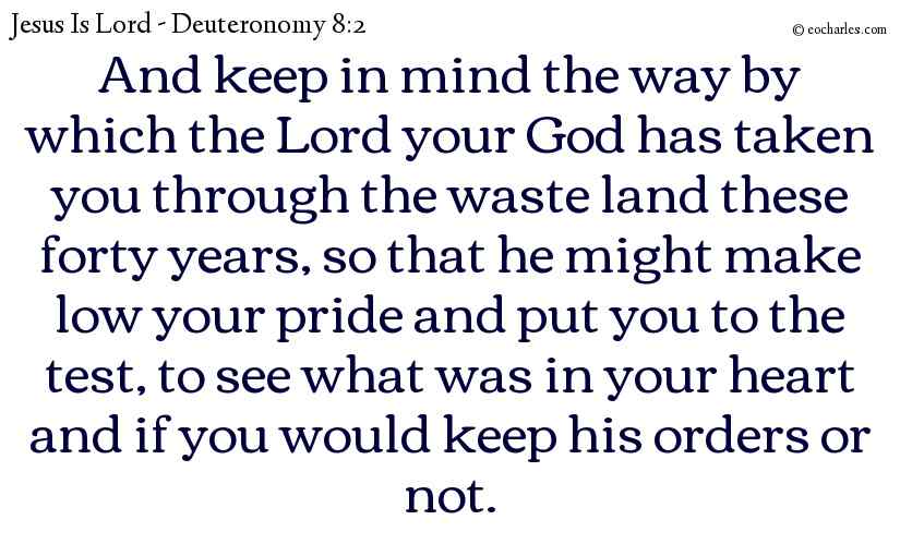 And keep in mind the way by which the Lord your God has taken you through the waste land these forty years, so that he might make low your pride and put you to the test, to see what was in your heart and if you would keep his orders or not.