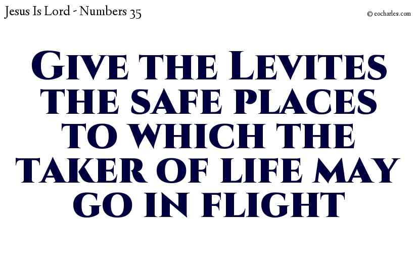 Give the Levites the safe places to which the taker of life may go in flight