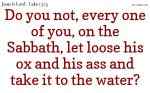 Do you not, every one of you, on the Sabbath, let loose his ox and his ass and take it to the water? 