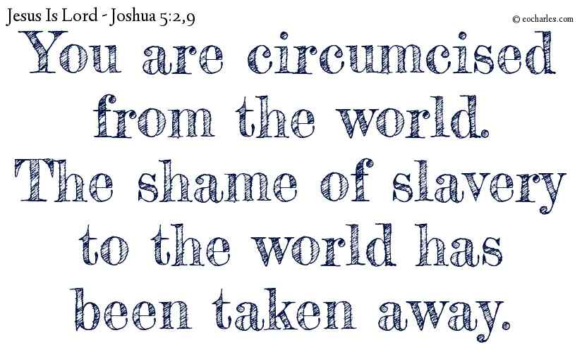 You are circumcised from the world.
The shame of slavery to the world has been taken away.