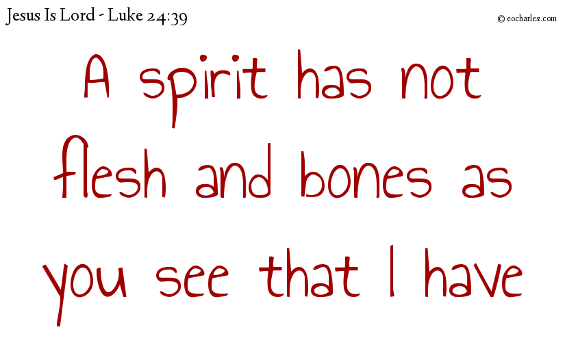 A spirit has not flesh and bones as you see that I have