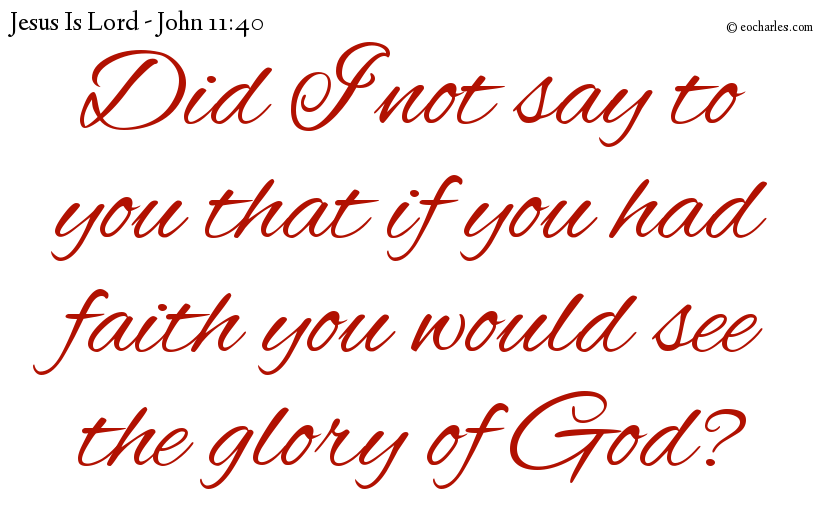 Did I not say to you that if you had faith you would see the glory of God?