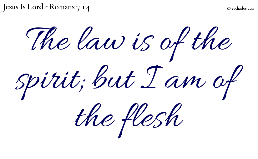 The law is of the spirit; but I am of the flesh