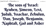 The sons of Israel: Reuben, Simeon, Levi, Judah, Issachar, Zebulun, Dan, Joseph, Benjamin, Naphtali, Gad and Asher