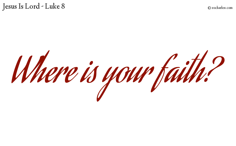Where is your faith?