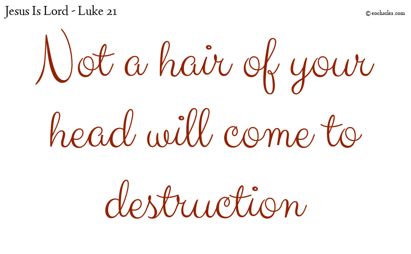 You will not come to destruction