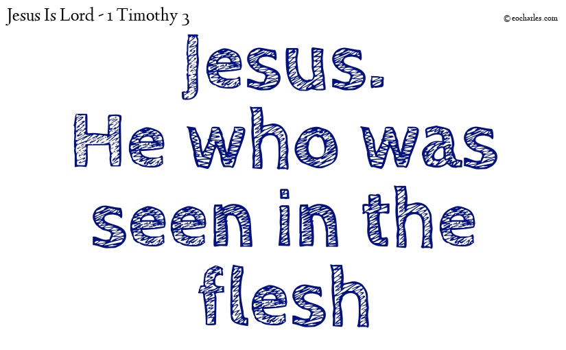 Jesus.
He who was seen in the flesh