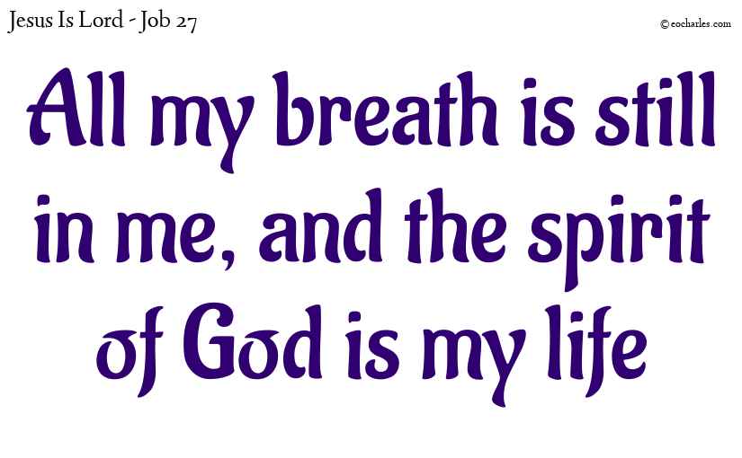 The spirit of God is my life