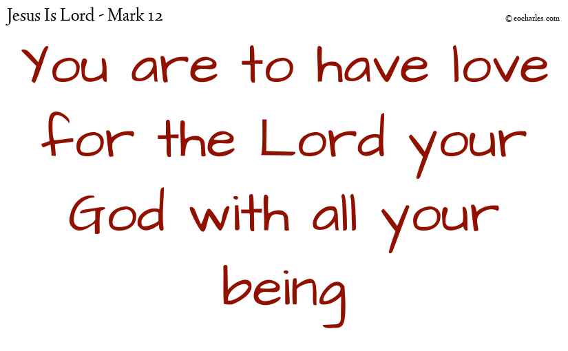 Love the Lord your God with all you are