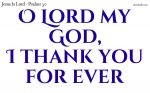 O Lord my God, I thank you for ever