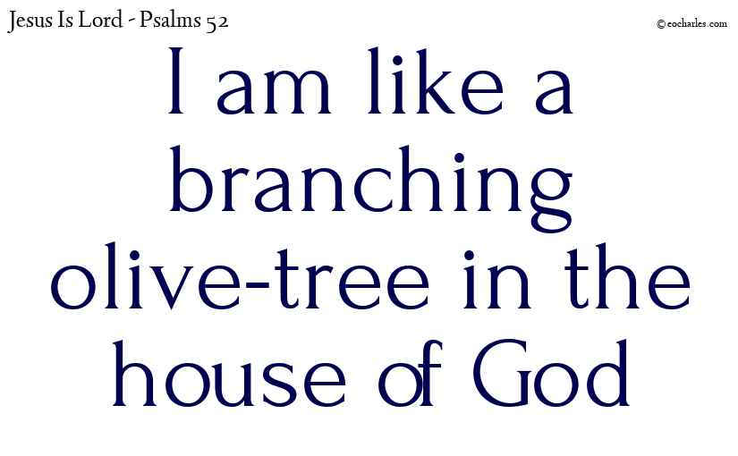 Like a branching olive-tree in the house of God