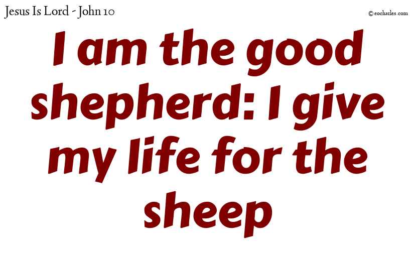 I am the good shepherd
