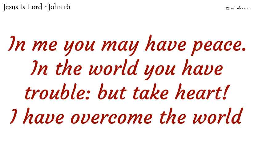 I have overcome the world