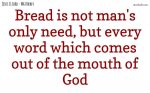 Every word which comes out of the mouth of God