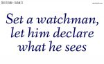 Set a watchman