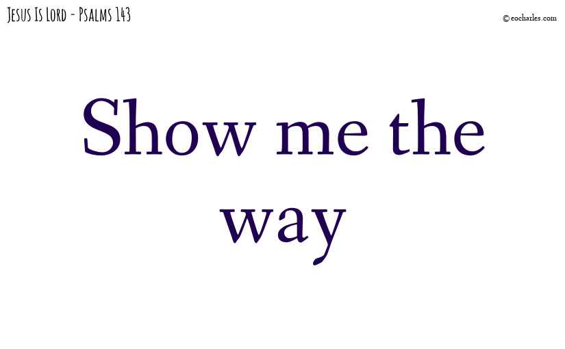 Show me the way