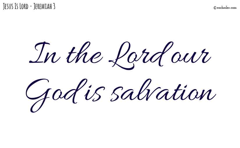 In the Lord our God is salvation